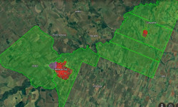 Grupo Informa inicia série de pesquisas nesta semana