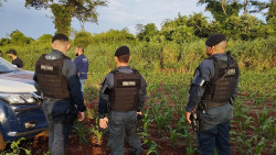 Indígena desaparecido após chegar da colheita de maçã é encontrado morto