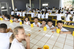 Contribuintes podem destinar parte do Imposto de Renda a projetos sociais