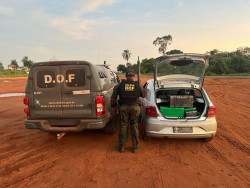 Homem é preso pelo DOF com mais de 150 quilos de maconha