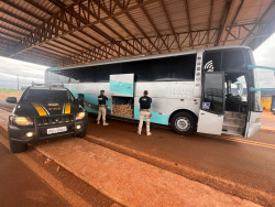 Ônibus com turistas paraguaios levava meia tonelada de maconha