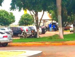 Confronto entre assaltantes e policiais do DOF deixa 2 suspeitos mortos