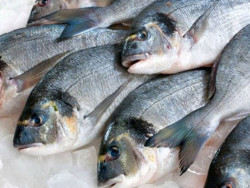 Chocolate fica mais barato, mas peixes estão mais caros, mostra Procon