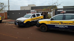 Ação da GMA no início da tarde desta sexta-feira (Imagem: Adilson Domingos)