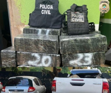 Polícia Civil apreende 784 quilos de maconha em Ponta Porã