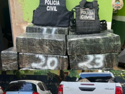 Polícia Civil apreende 784 quilos de maconha em Ponta Porã