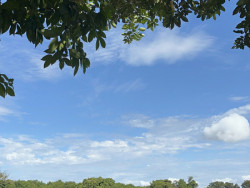 Mato Grosso do Sul segue instável e com grandes variações nas regiões