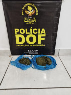 Foragido da justiça e transporttando skunk é preso pelo DOF