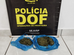 Foragido da justiça e transporttando skunk é preso pelo DOF