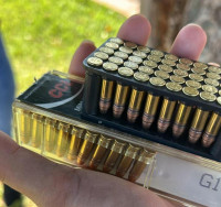 PRF preso por descumprir medida protetiva é flagrado com 100 munições