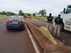Pai e filho são presos com 113 quilos de cocaína em Caarapó