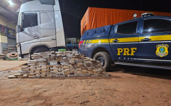 PRF apreende 126 quilos de cocaína com ajuda de cães farejadores
