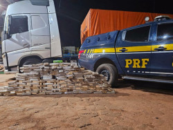 PRF apreende 126 quilos de cocaína com ajuda de cães farejadores
