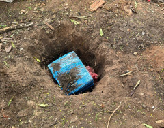 Ação conjunta da polícia encontra maconha enterrada na fronteira