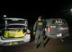 Homem é preso levando 250 quilos de maconha para São Paulo