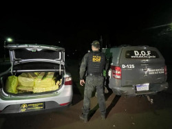 Homem é preso levando 250 quilos de maconha para São Paulo