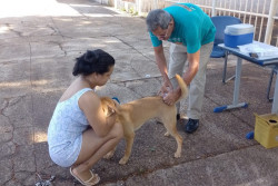 CCZ aplica vacina antirrábica em seis pontos nesta semana