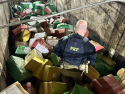 PRF apreende no Paraná carga de maconha que saiu de Laguna Carapã