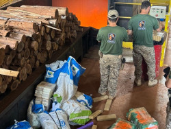 Polícia Civil incinera 2,8 toneladas de drogas em Dourados