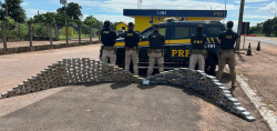 PRF apreende 274 quilos de cocaína em caminhão na BR-163