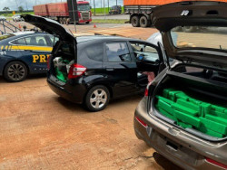 PRF prende quatro mulheres com dois carros lotados de maconha