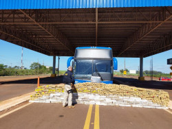 PRF apreende 1.480 kg de maconha em ônibus levando turistas para a praia