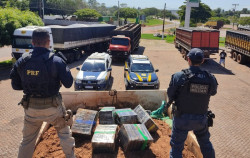 Motorista foge e abandona caminhão com 12 toneladas de maconha
