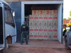 DOF fecha entreposto e apreende 77,5 mil pacotes de cigarro paraguaio