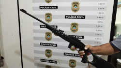 Menina de 14 anos planejou assassinato de sitiante