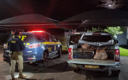 Douradense é preso com quase 800 quilos de maconha em S10 roubada