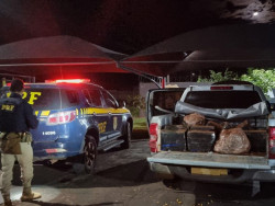 Douradense é preso com quase 800 quilos de maconha em S10 roubada
