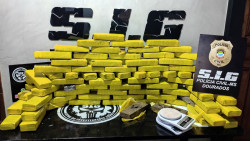 Polícia fecha entreposto com 82 quilos de maconha no Jockey