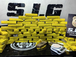Polícia fecha entreposto com 82 quilos de maconha no Jockey