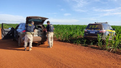 Em duas ações, PRF apreende 2,6 toneladas de maconha na BR-267