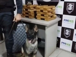 Com cão farejador, PM encontra maconha em mala e prende homem e mulher