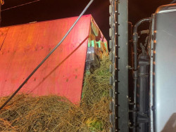 PRF apreende quase 16 toneladas de maconha em caminhão de melancia
