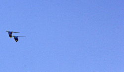 Sol com poucas nuvens aumenta sensação de calor em MS nesta quarta-feira