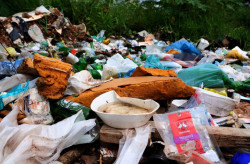 MS registra 7.802 casos confirmados de dengue