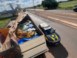 Caminhão que saiu de Dourados levava 9,4 toneladas de maconha