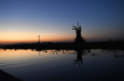 Frente fria avança sobre o MS e temperaturas mais amenas são registradas