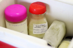 HU-UFGD registra queda de 14,5% na coleta de leite materno