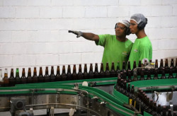 Oportunidades em ascensão: novas indústrias e vagas em MS