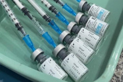 Domingo é último dia para primeira dose da vacina contra dengue