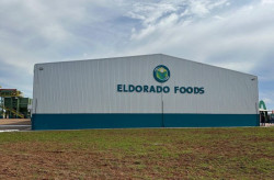 Fecularia gera 330 empregos e consolida industrialização da mandioca