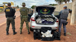 DOF apreende 432 quilos de maconha sendo levados de MS para SP