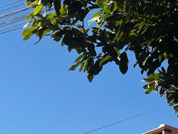 Com aproximação de frente fria, tempo fica instável nesta quinta em MS