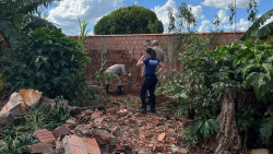 Dois são presos e confessam assassinato de homem enterrado no quintal