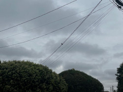 Dourados tem madrugada mais fria do ano com 9,6 graus