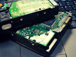 PF faz nova investida contra abuso sexual infantojuvenil em MS