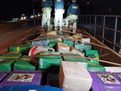 Delegacia da PRF em Dourados faz maior apreensão de maconha do país